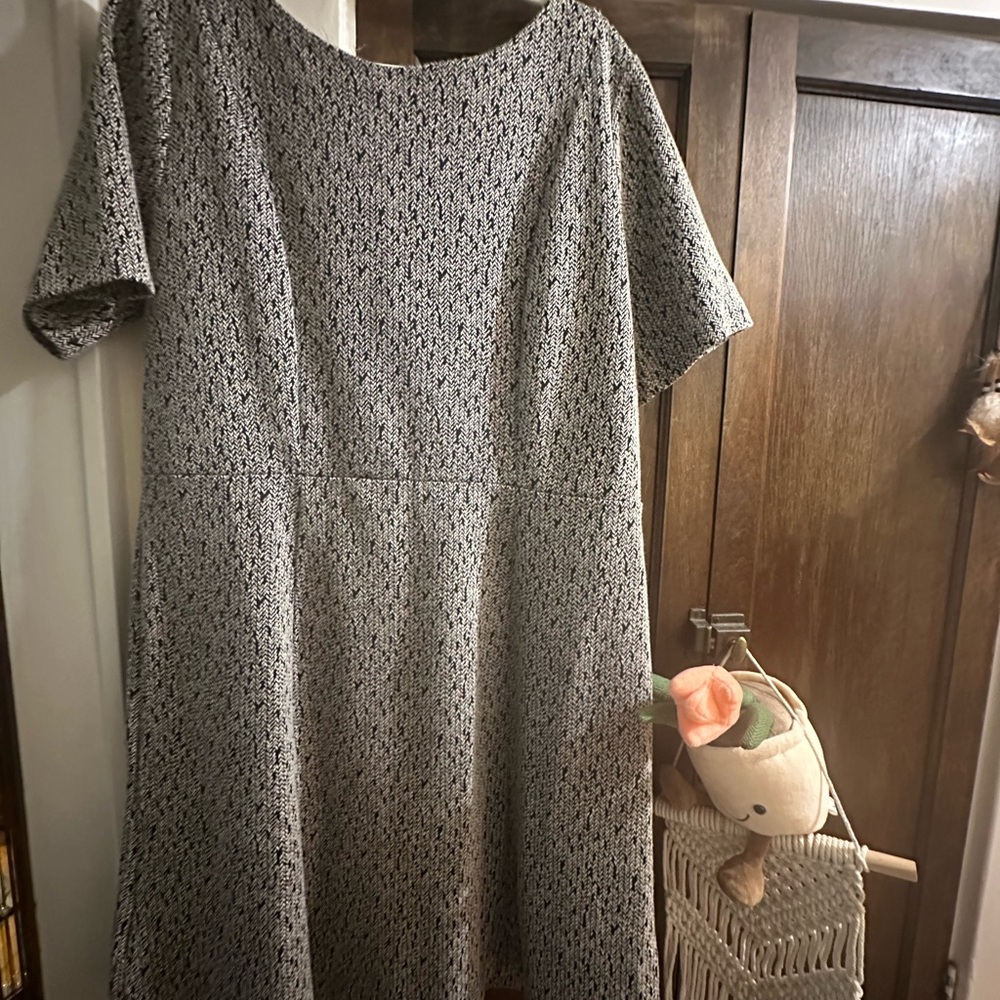 EUC Ann Taylor size 16- black and white dress